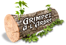 Grimpez à l arbre